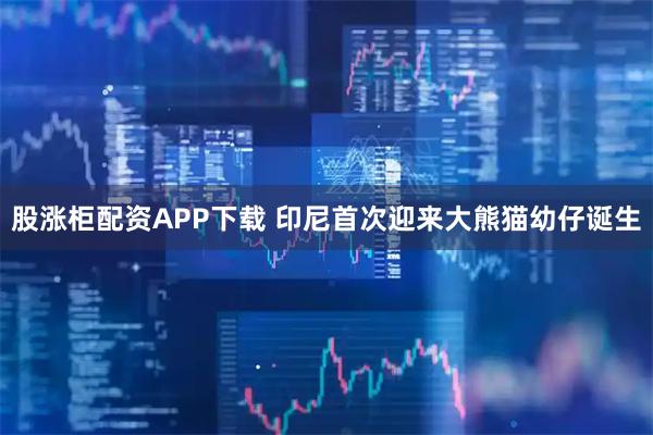 股涨柜配资APP下载 印尼首次迎来大熊猫幼仔诞生
