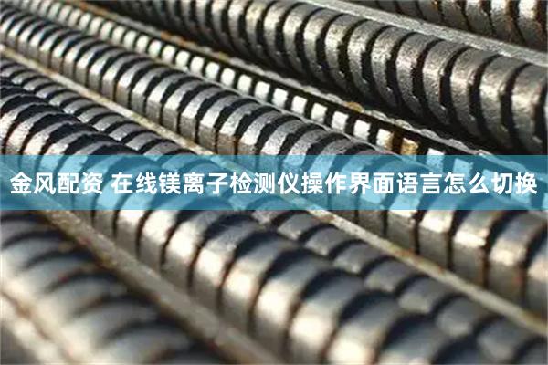 金风配资 在线镁离子检测仪操作界面语言怎么切换