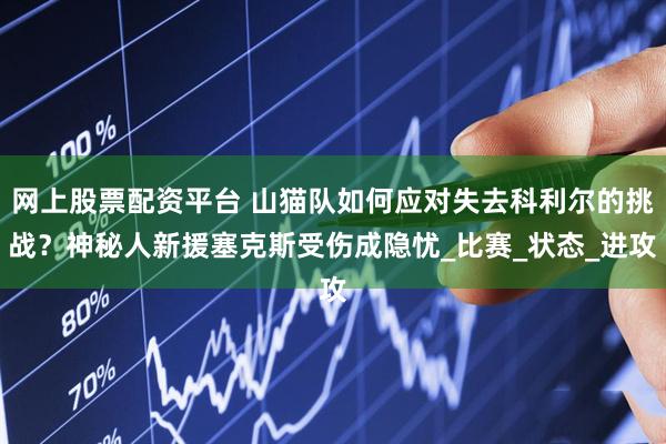 网上股票配资平台 山猫队如何应对失去科利尔的挑战？神秘人新援塞克斯受伤成隐忧_比赛_状态_进攻