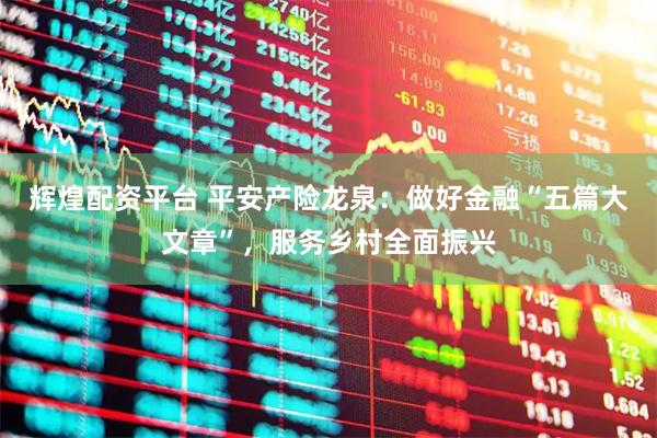 辉煌配资平台 平安产险龙泉：做好金融“五篇大文章”，服务乡村全面振兴